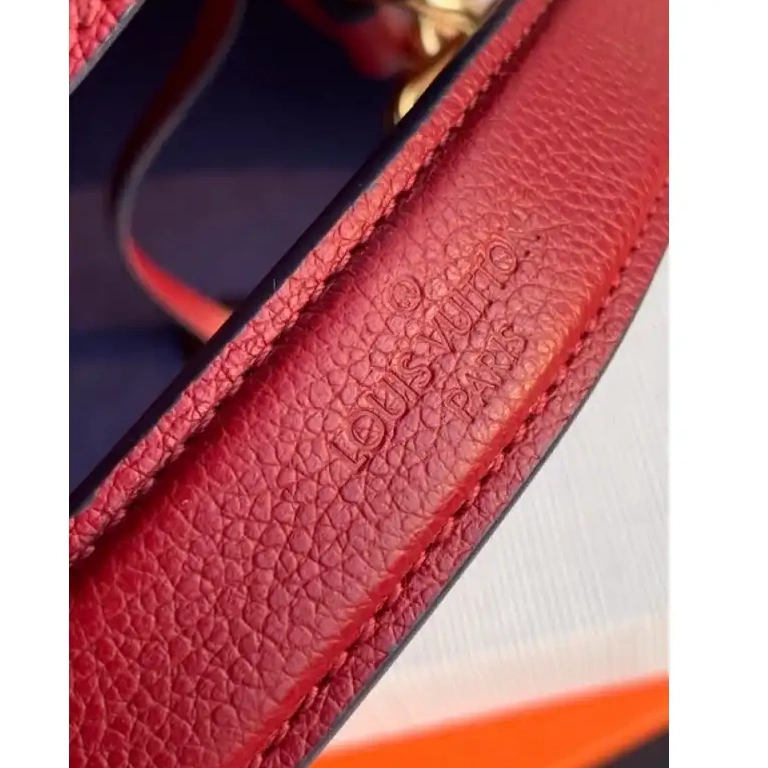 20DJ570061 LV Bags 0809